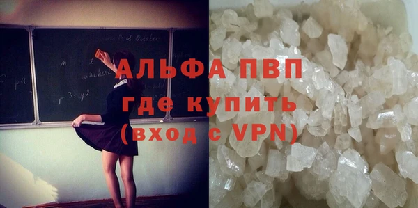 молекула духа Пестово