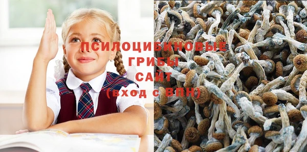 ALPHA PVP Волосово