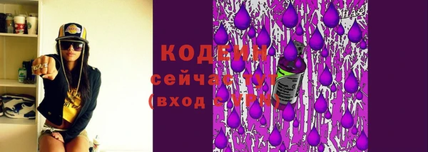 СК Володарск