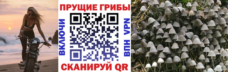 blacksprut маркетплейс  Назарово  Псилоцибиновые грибы мухоморы  где продают  